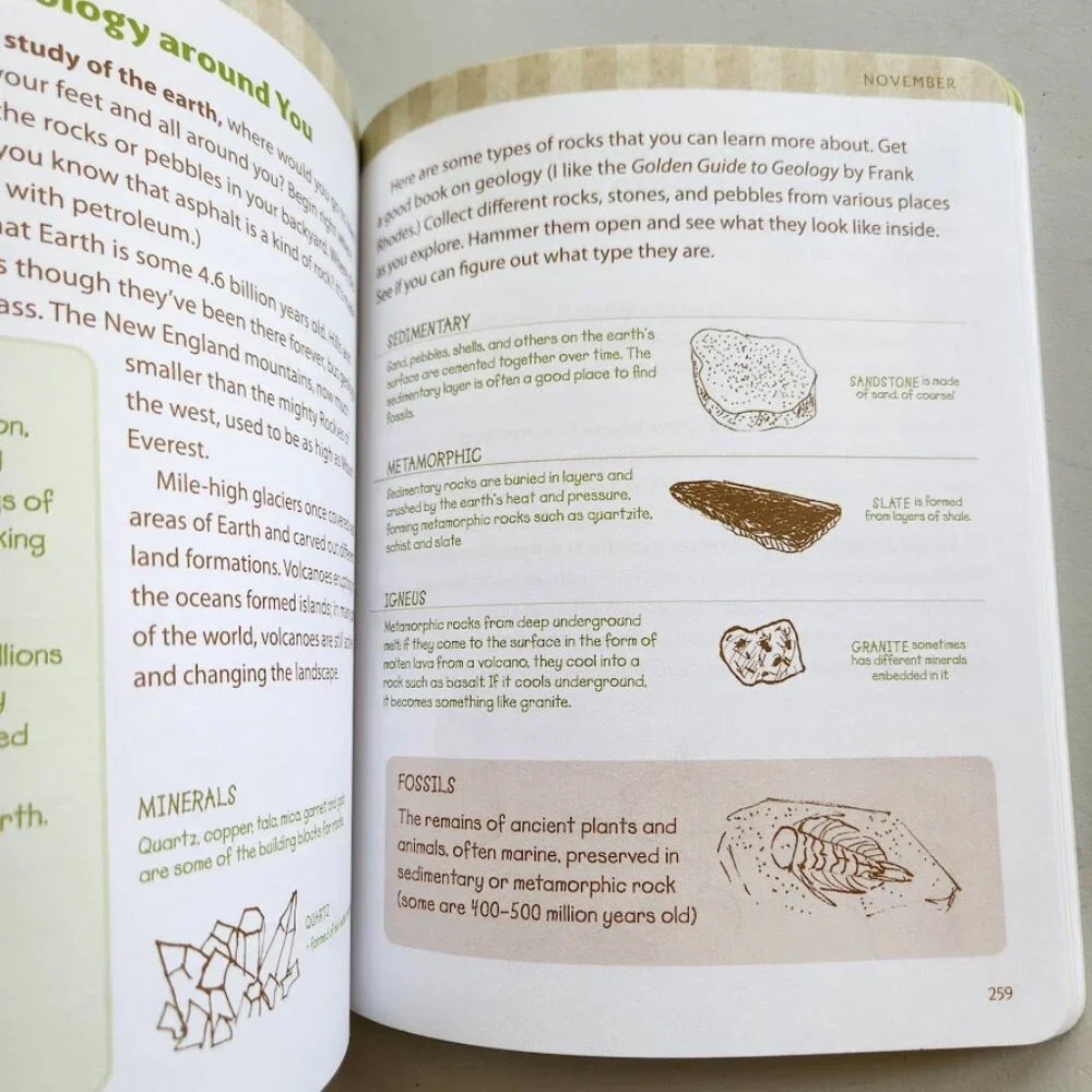 Nature Journal Atcitty Book Workbook Clare Walker Leslie The Nature Connection